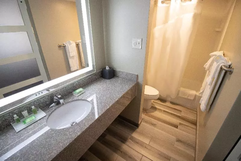 キングサイズベッドのスタンダードルーム, Holiday Inn Scranton East   Dunmore, An Ihg