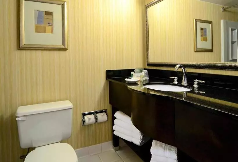 身障者適用キングサイズベッドルーム, Holiday Inn Washington D.c.   Greenbelt Maryland, An Ihg