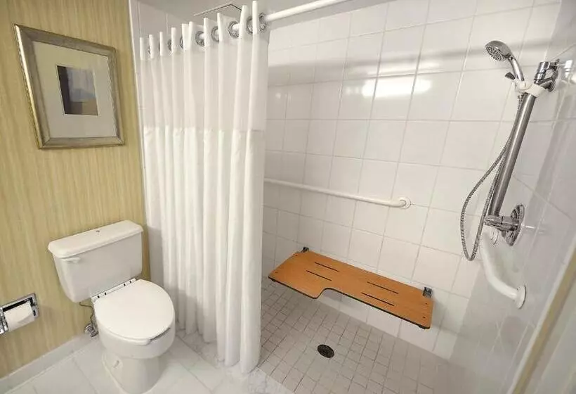 キングサイズベッドのスタンダードルーム, Holiday Inn Washington D.c.   Greenbelt Maryland, An Ihg