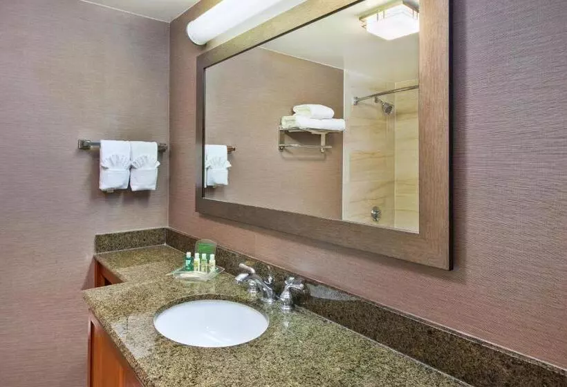 身障者適用スタンダードルーム, Holiday Inn Washington Dulles International Airport, An Ihg