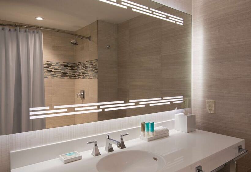 스탠다드 룸, Hyatt Regency Dallas