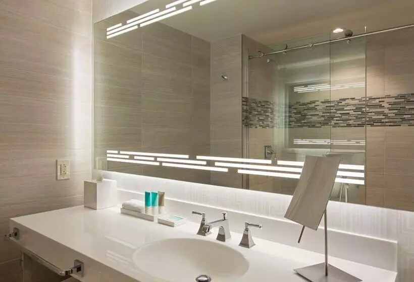 スタンダードルーム, Hyatt Regency Dallas