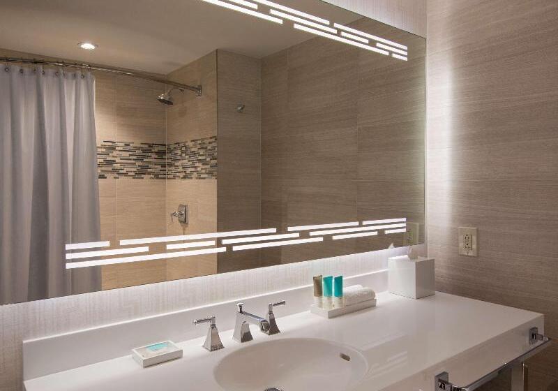 스탠다드 룸 킹사이즈 침대, Hyatt Regency Dallas