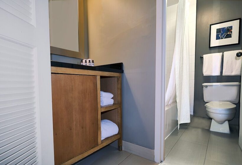 חדר סטנדרט שתי מיטות זוגיות, Hyatt Regency Lisle Near Naperville