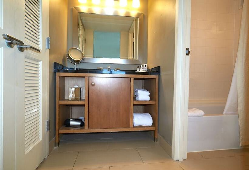 חדר סטנדרט שתי מיטות זוגיות, Hyatt Regency Lisle Near Naperville