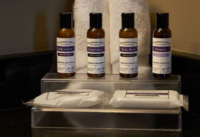 חדר סטנדרט שתי מיטות זוגיות, Hyatt Regency Lisle Near Naperville