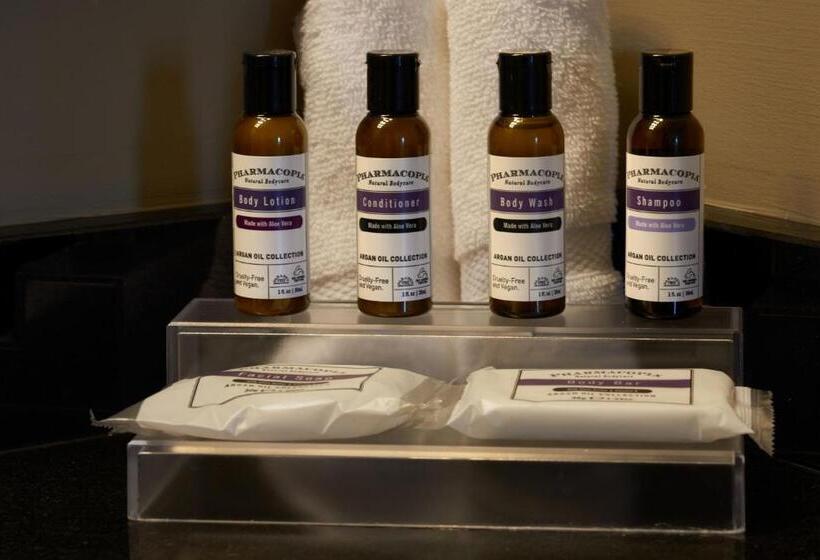 חדר סטנדרט שתי מיטות זוגיות, Hyatt Regency Lisle Near Naperville