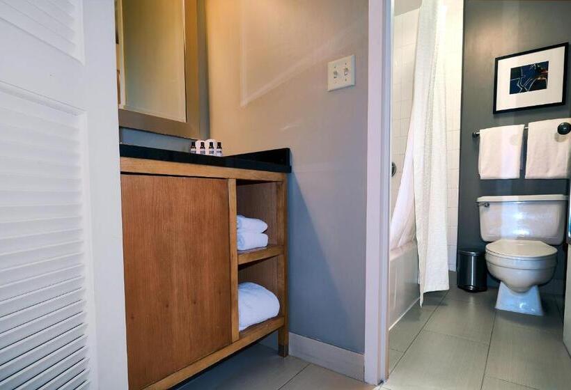 חדר סטנדרט מותאם לאדם עם מוגבלויות, Hyatt Regency Lisle Near Naperville