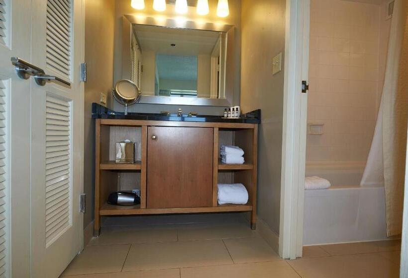 חדר סטנדרט מותאם לאדם עם מוגבלויות, Hyatt Regency Lisle Near Naperville