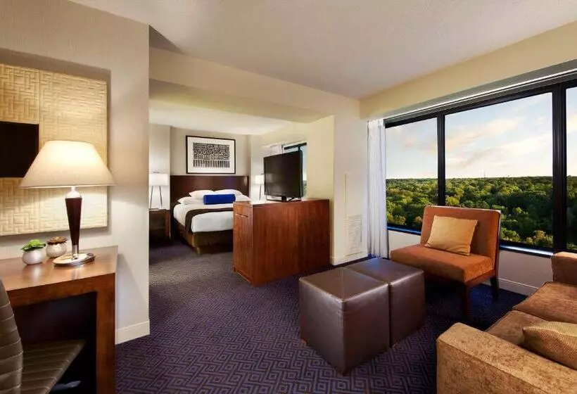 身障者適用スタンダードルーム, Hyatt Regency Lisle Near Naperville