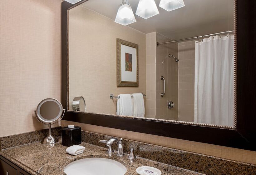 스탠다드 룸 더블 침대 2개, Hyatt Regency Reston