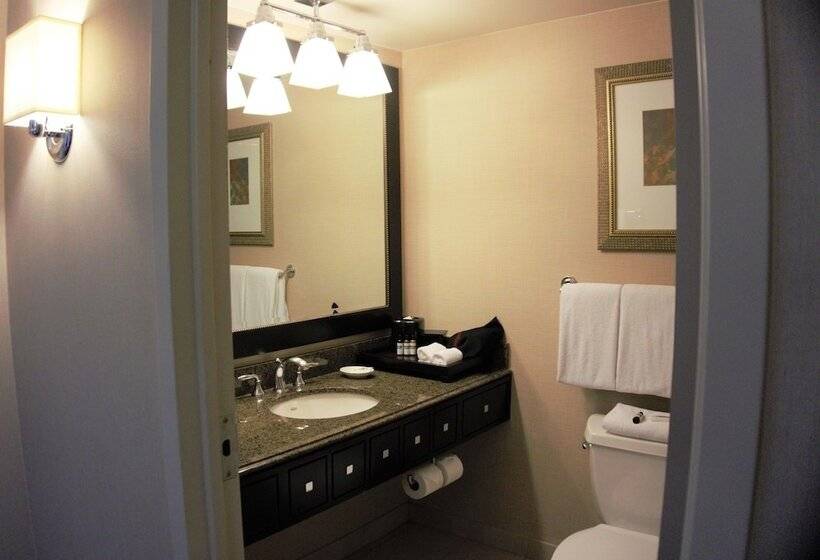 스위트, Hyatt Regency Reston