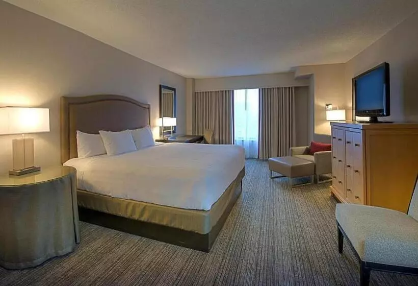 キングサイズベッドのデラックスルーム, Hyatt Regency Reston