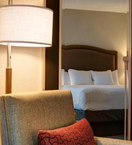스탠다드 룸 킹사이즈 침대, Hyatt Regency Reston