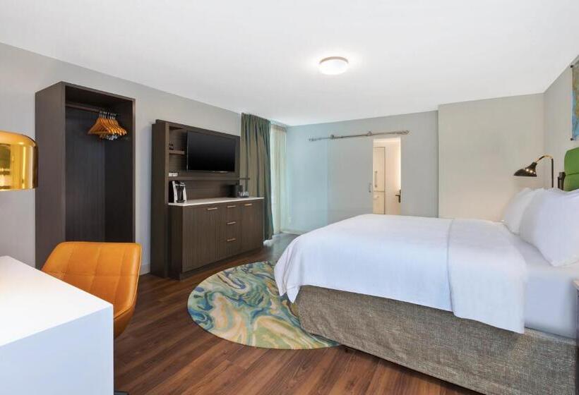 חדר דלוקס מותאם לאנשים עם מוגבלויות, Indigo Rochester Mayo Clinic Area