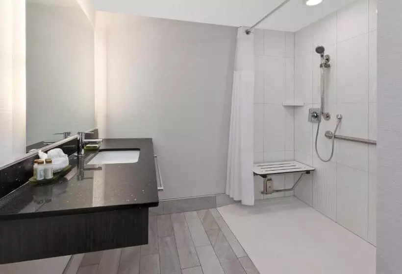 اتاق استاندارد برای معلولان, Indigo Rochester Mayo Clinic Area