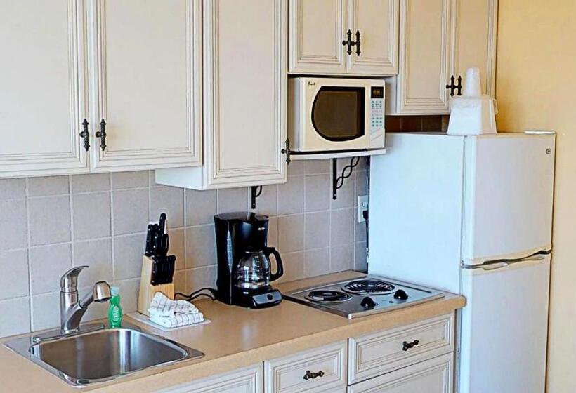 기본룸, Island Inn Beach Resort