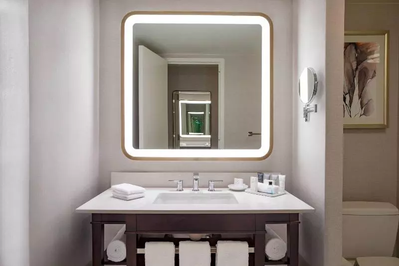 身障者適用スタンダードルーム, Jw Marriott Atlanta Buckhead