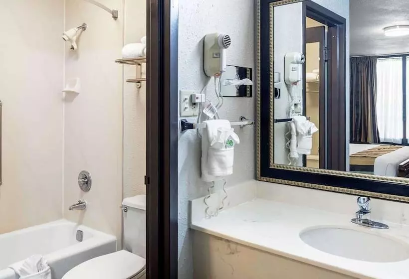اتاق استاندارد با تخت دوبل, Magnuson Grand Hotel And Conference Center Tyler