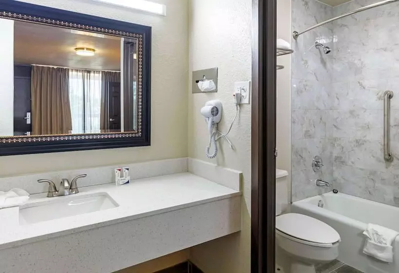 اتاق استاندارد با تخت دوبل, Magnuson Grand Hotel And Conference Center Tyler