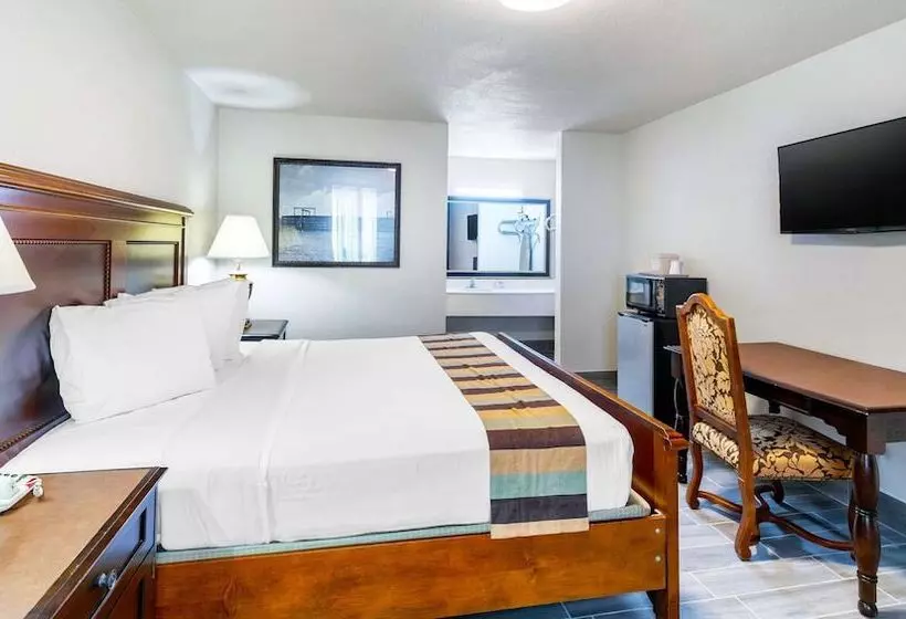 اتاق استاندارد با تخت دوبل, Magnuson Grand Hotel And Conference Center Tyler