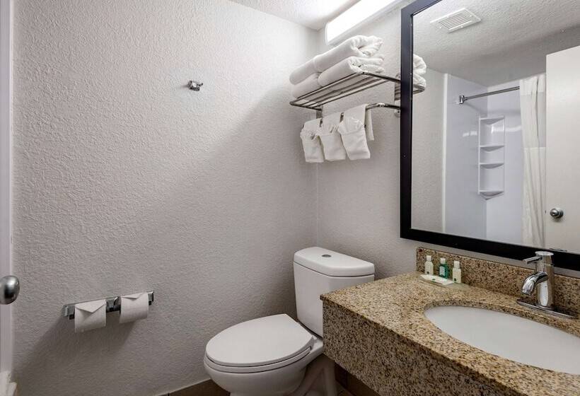 غرفه قياسيه سريرين مزدوجين, Quality Inn