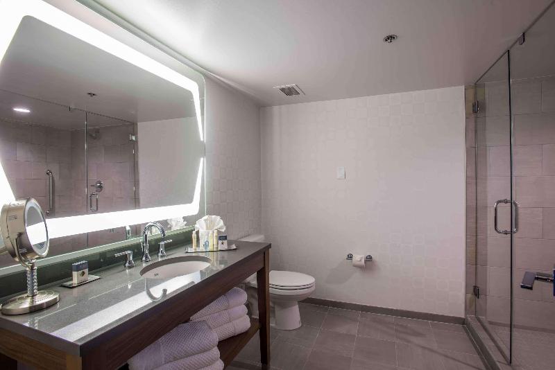 غرفة ديلوكس سرير كينج, Wyndham Fort Smith City Center