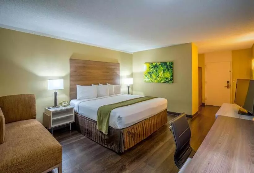 キングサイズベッドのエクゼクティブルーム, Wyndham Garden Washington Dc North