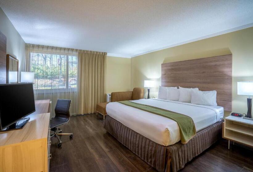 이그제큐티브 룸 킹사이즈 침대, Wyndham Garden Washington Dc North