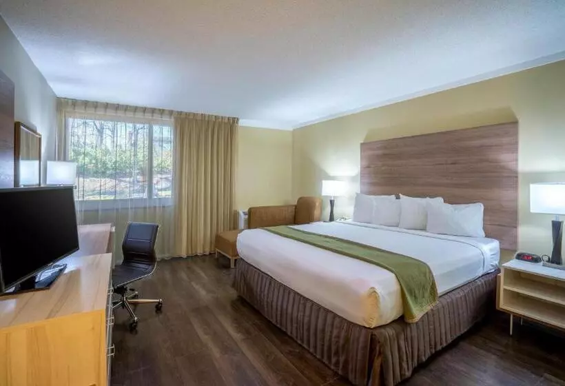 キングサイズベッドのエクゼクティブルーム, Wyndham Garden Washington Dc North
