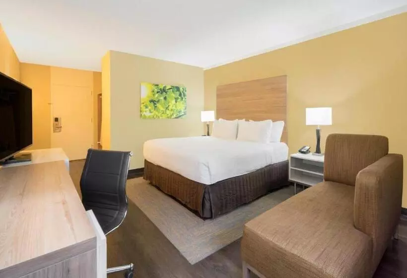 キングサイズベッドのエクゼクティブルーム, Wyndham Garden Washington Dc North