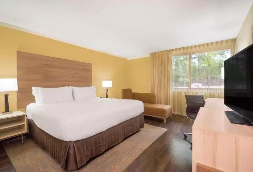 キングサイズベッドのエクゼクティブルーム, Wyndham Garden Washington Dc North