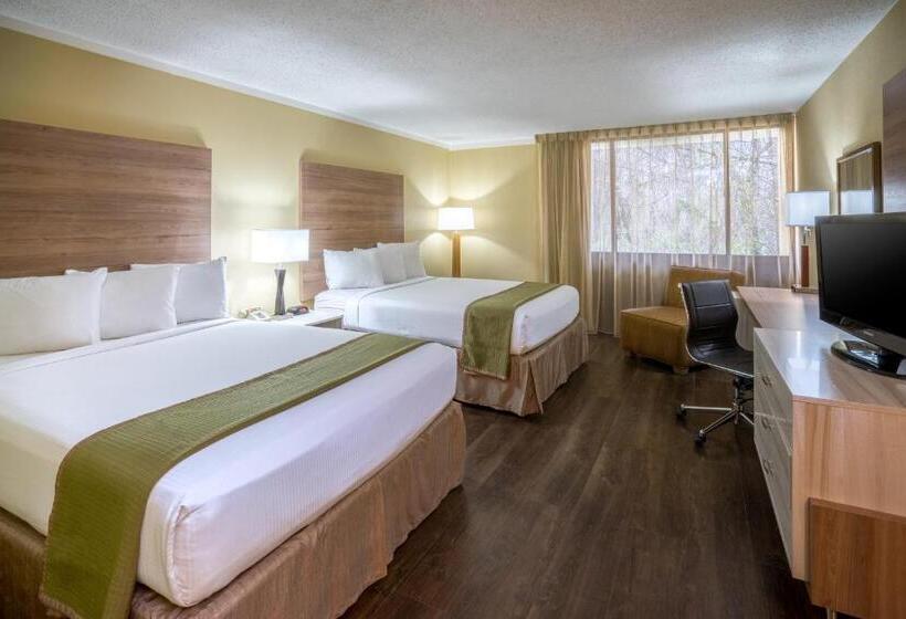 غرفة قياسية, Wyndham Garden Washington Dc North