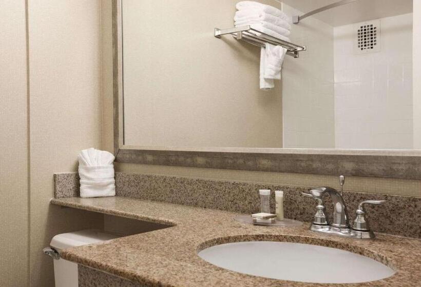 غرفة قياسية, Wyndham Garden Washington Dc North