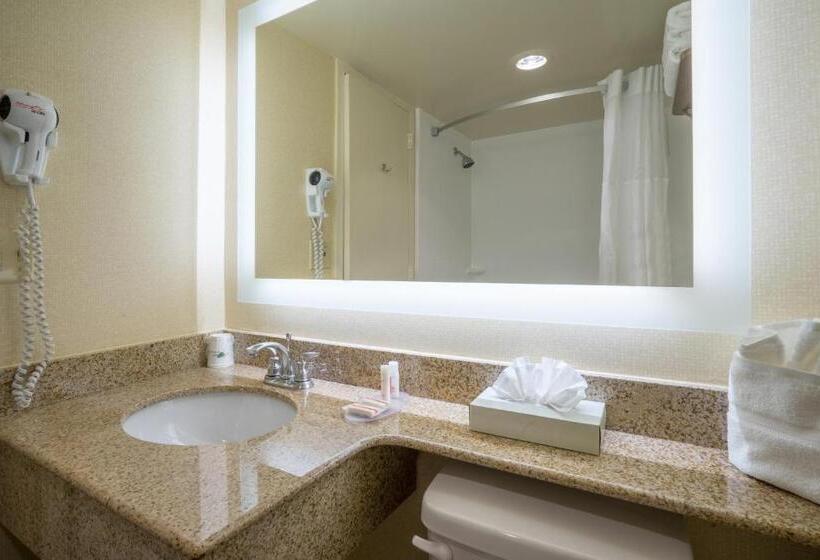 장애인을 위한 스탠다드 룸, Wyndham Garden Washington Dc North