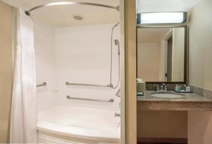 身障者適用スタンダードルーム, Wyndham Garden Washington Dc North