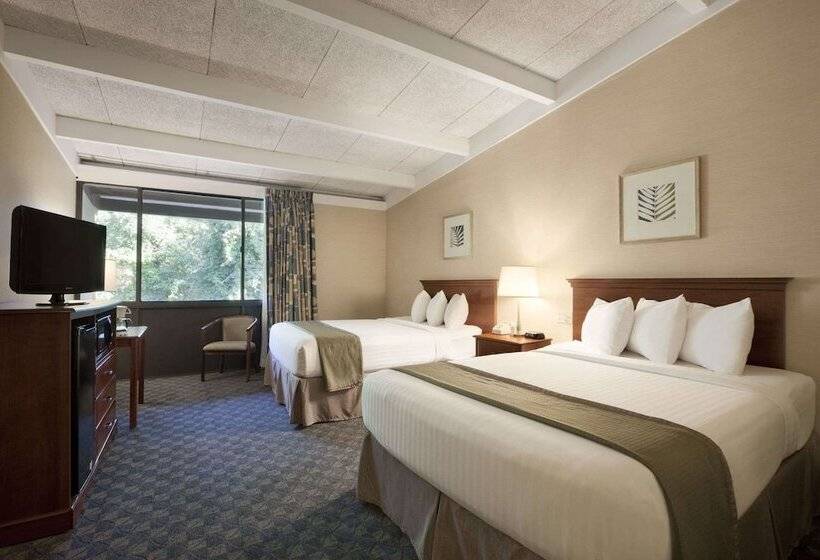 غرفة قياسية, Wyndham Garden Washington Dc North