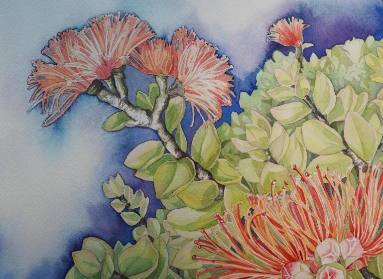 סוויטה, Imperial Hawaii Resort