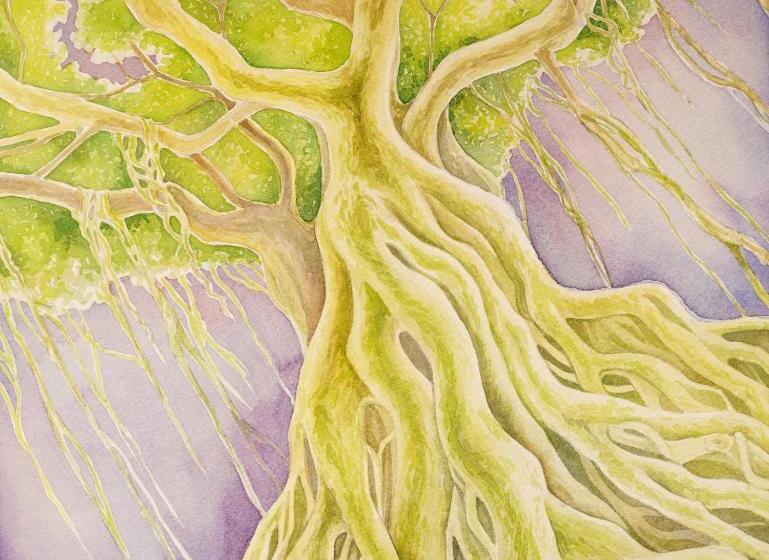 סוויטה דלוקס, Imperial Hawaii Resort