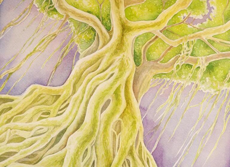 סוויטה דלוקס, Imperial Hawaii Resort