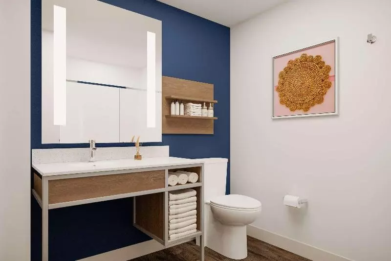 身障者適用キングサイズベッドルーム, Hilton Garden Inn St. Pete Beach