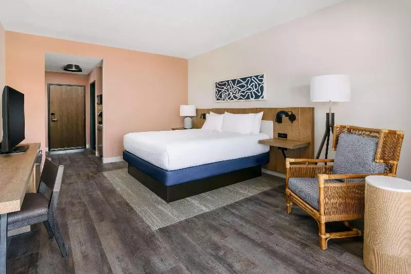 シングルデラックスルーム, Hilton Garden Inn St. Pete Beach