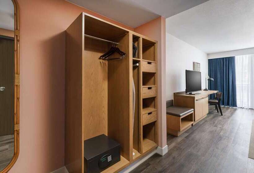غرفة قياسية, Hilton Garden Inn St. Pete Beach