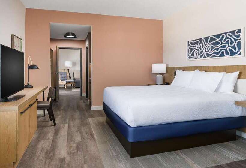 Номер Стандарт, Hilton Garden Inn St. Pete Beach