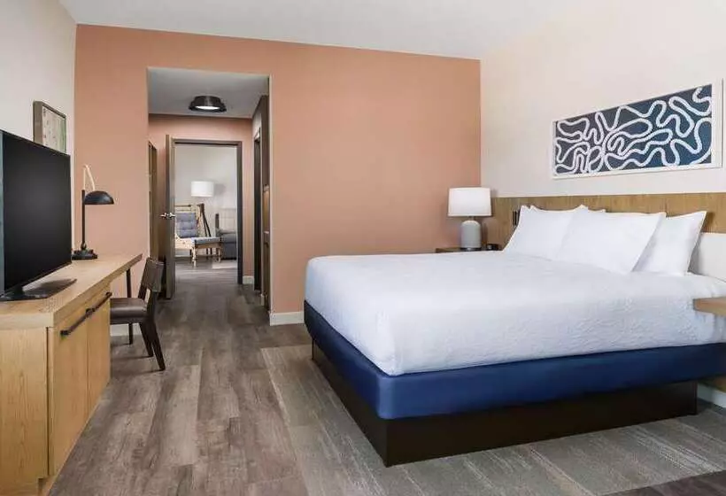 スタンダードルーム, Hilton Garden Inn St. Pete Beach