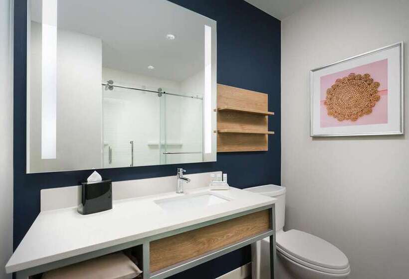 غرفة قياسية, Hilton Garden Inn St. Pete Beach