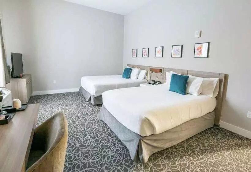 バルコニー付きスタンダードルーム, Hilton Garden Inn St. Pete Beach