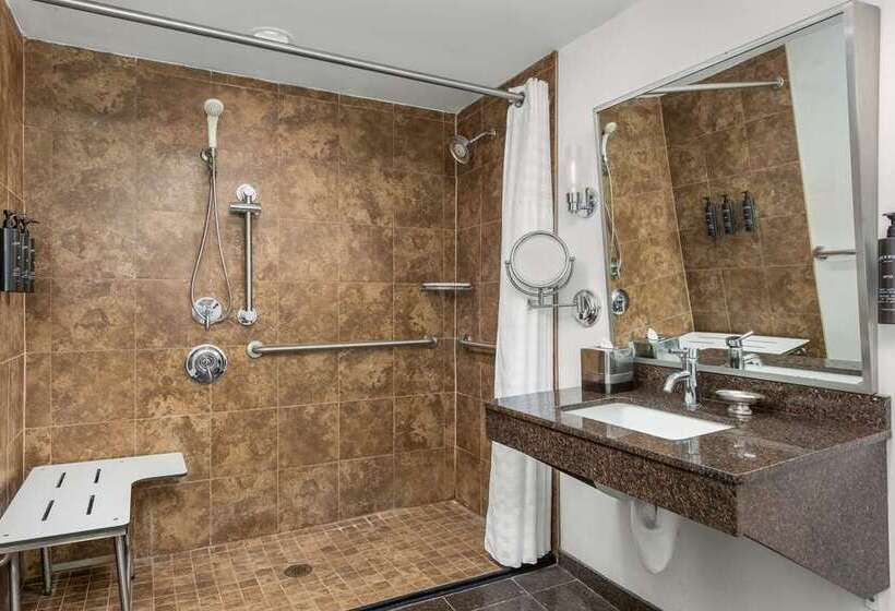 غرفة قياسية, Andaluz Albuquerque, Curio Collection By Hilton