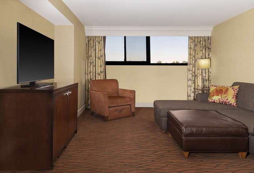 جناح سرير كينج, Andaluz Albuquerque, Curio Collection By Hilton