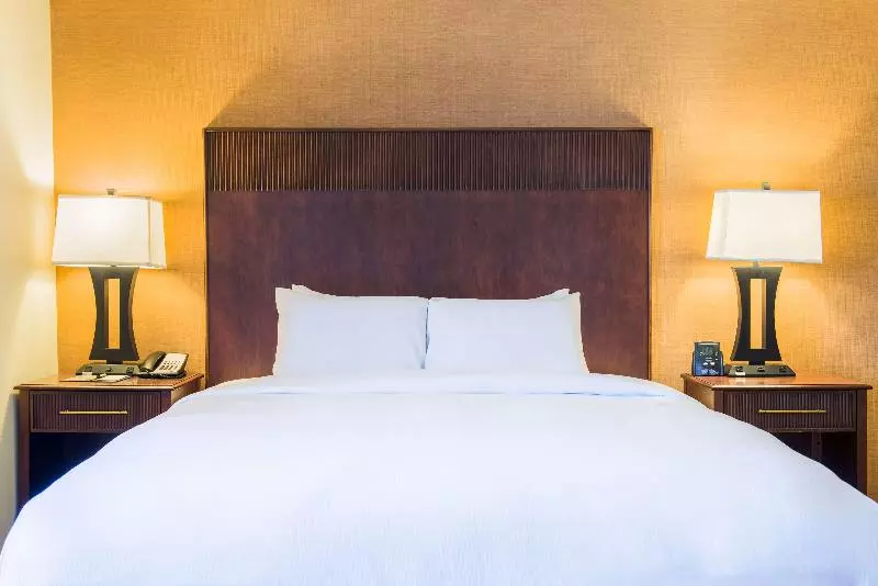 اتاق استاندارد با تخت بزرگ, Doubletree By Hilton Philadelphia Airport